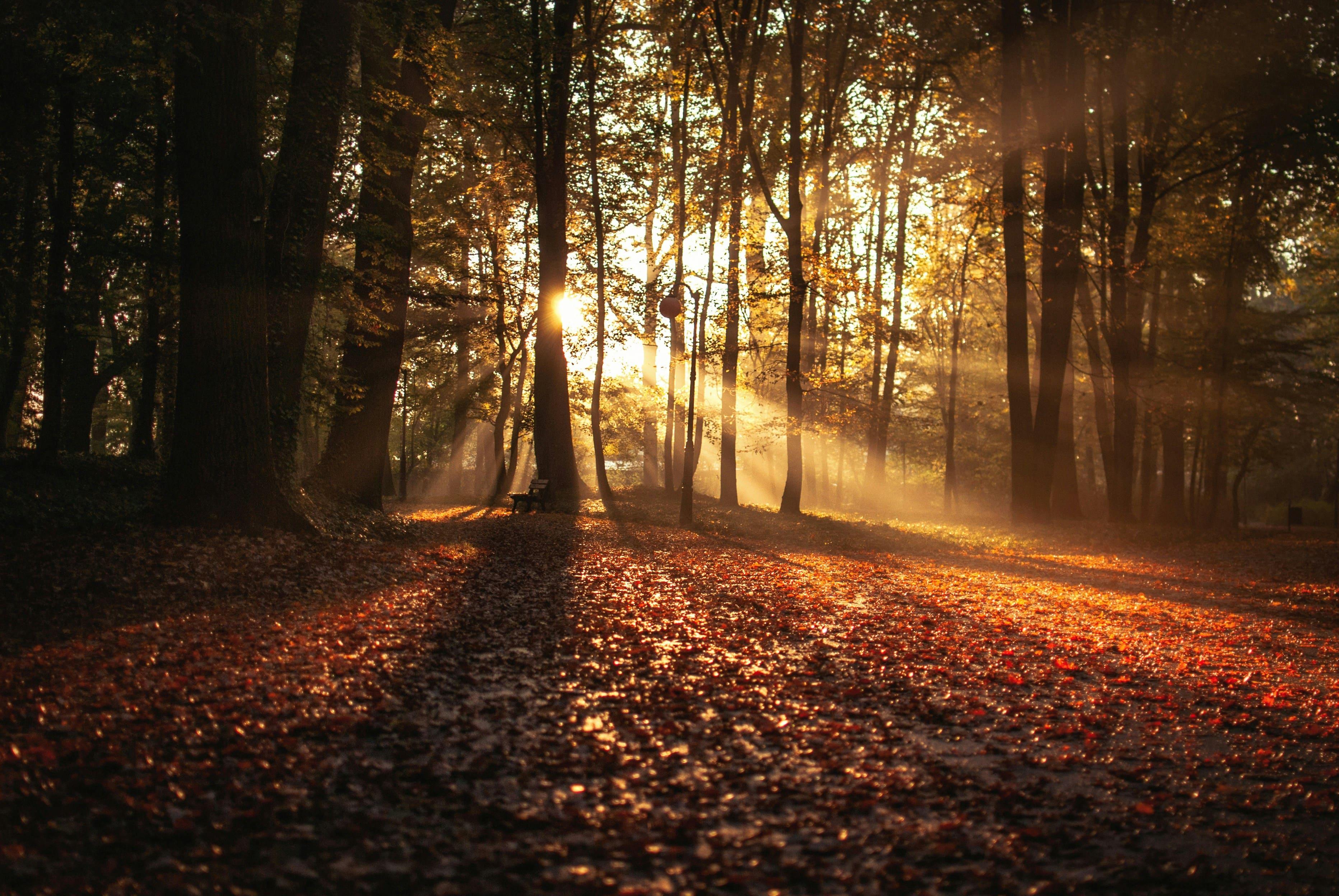 Why the Equinox Can Change the Way You Feel