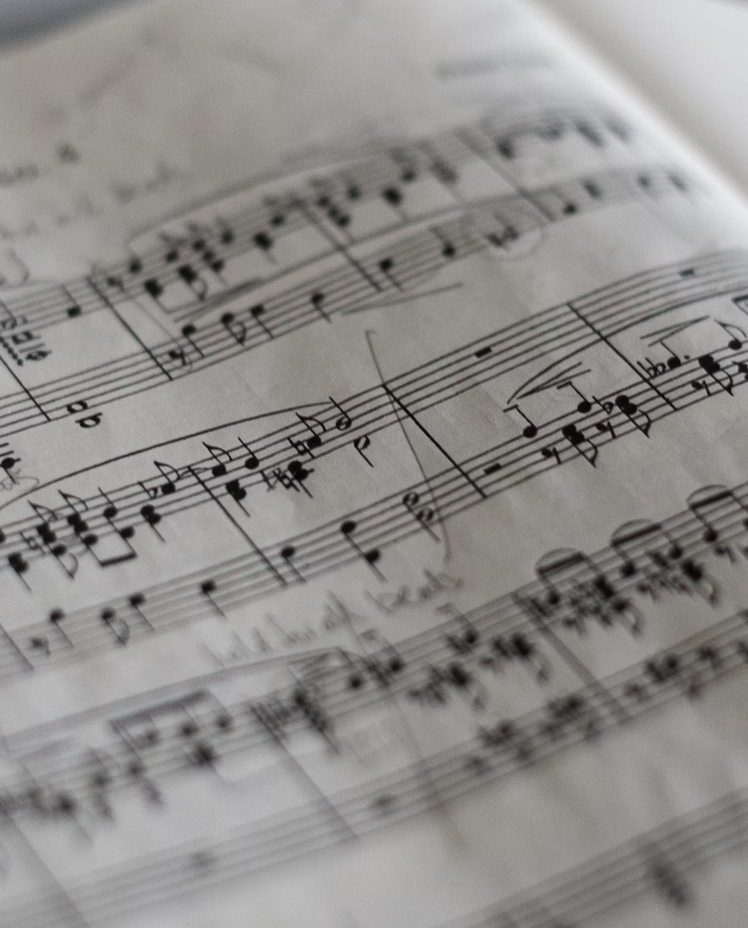 profile header image