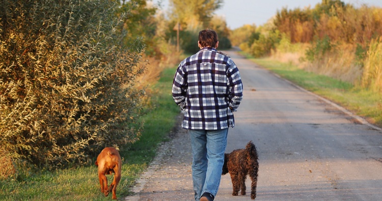 Why Dog Walking is Good for You