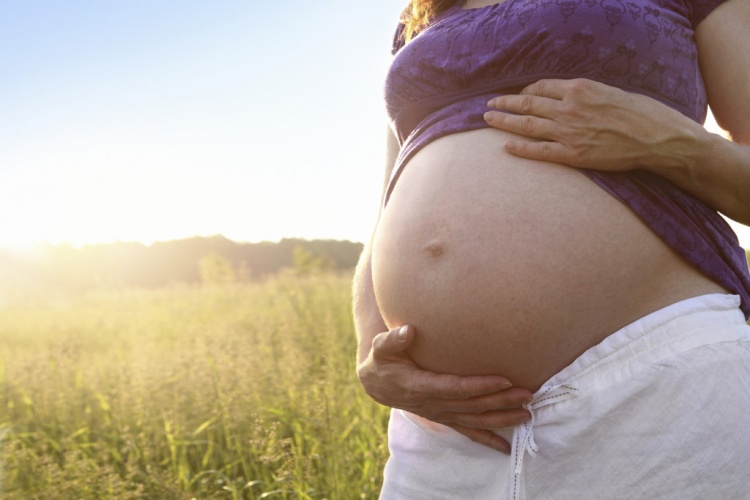 Fertility and Mindfulness