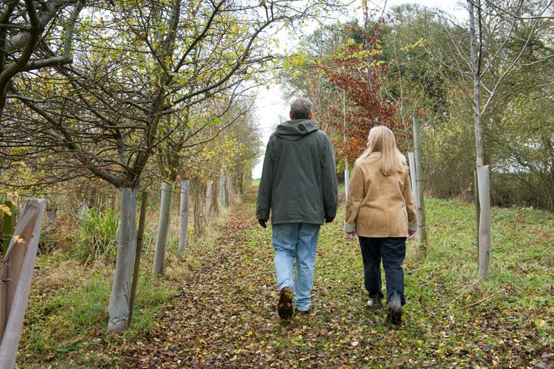 Why Walking and Talking Therapy Works