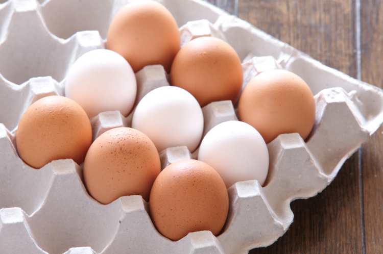 How to Get More Protein in Your Diet and Support Brain Health