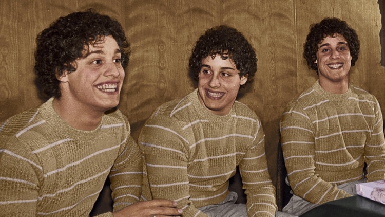 Three Identical Strangers and the History of Twin Studies in Science