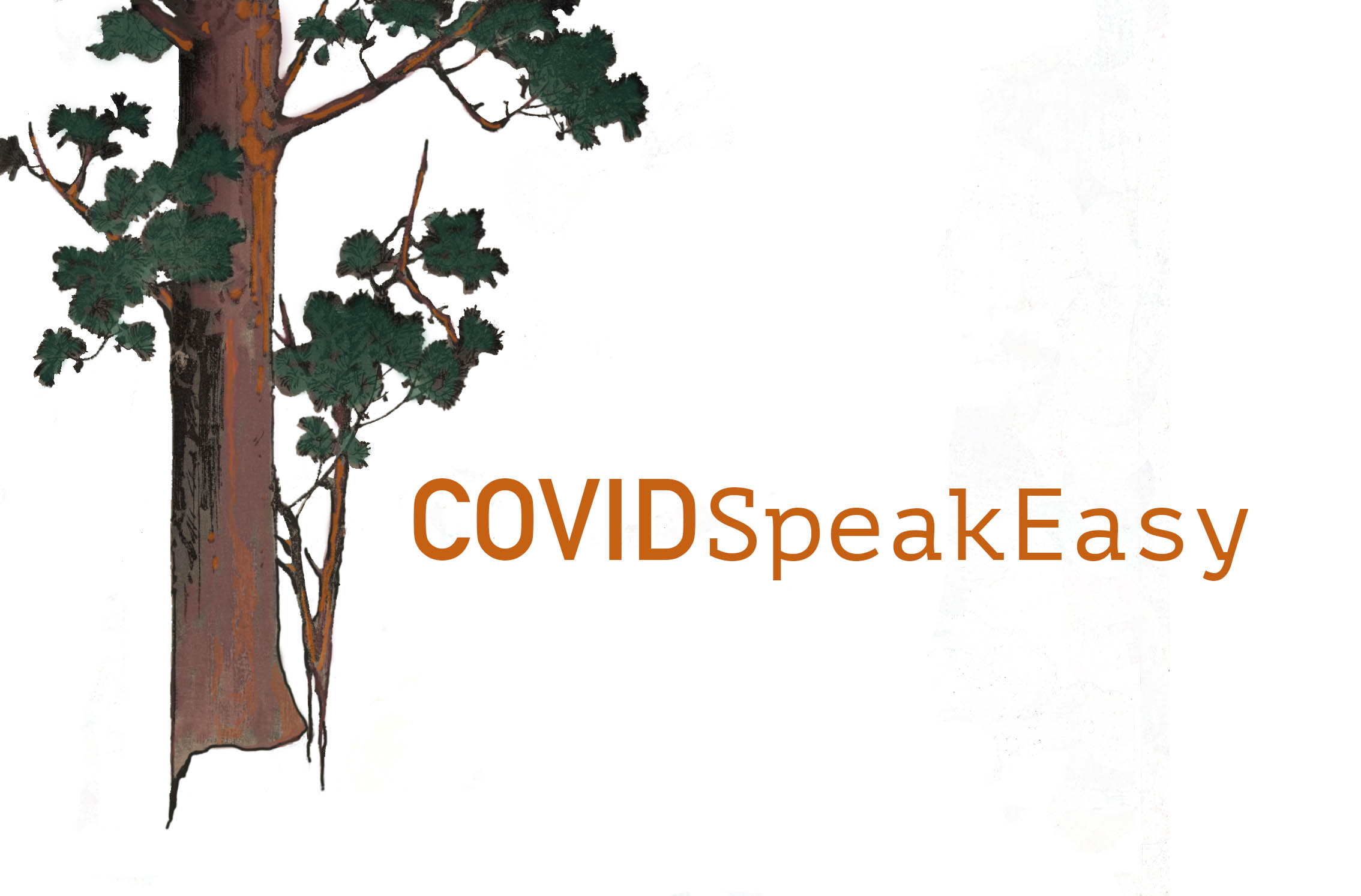 COVIDSpeakEasy: Providing Support to Bereaved Partners