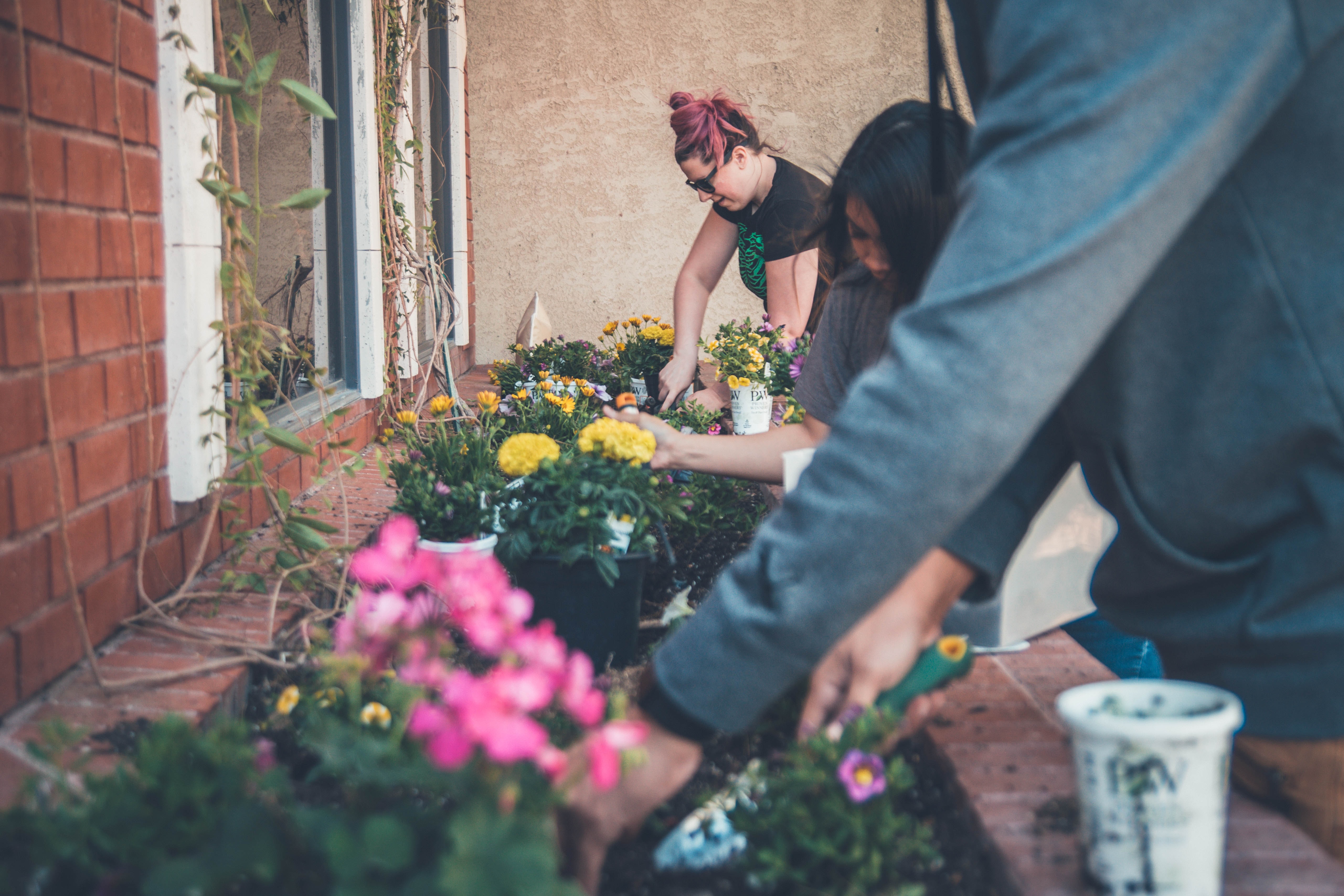 Therapeutic Gardening: How Being in Touch with Nature Boosts Mental Health