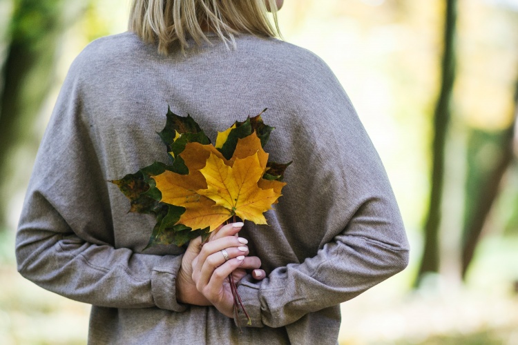Why Is Autumn Such a Popular Time of Year for Therapy?