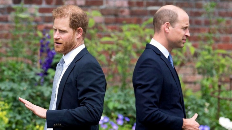 What the Feuding Between Harry and William Says About Us